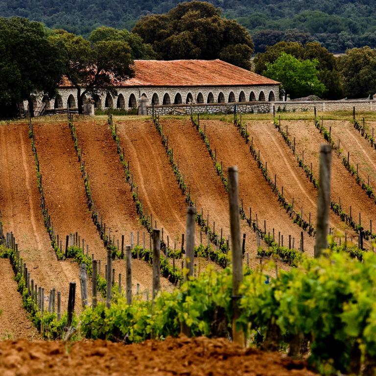 La Posada De Pradorey Ventosilla エクステリア 写真